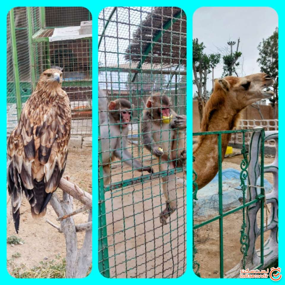 پارک سوزا