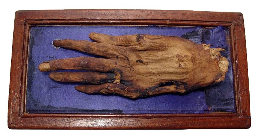 Mummified-Hand-of-Cleopatra-with-display-case-acquired-by-Sir-Thomas-Bowser.jpg