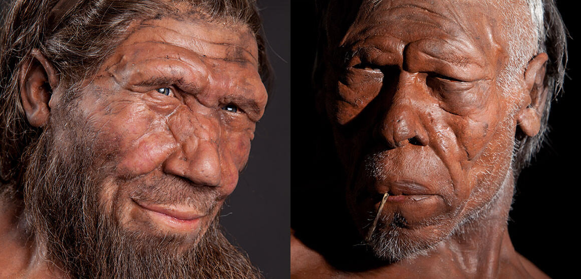 nean-human-1160.jpg