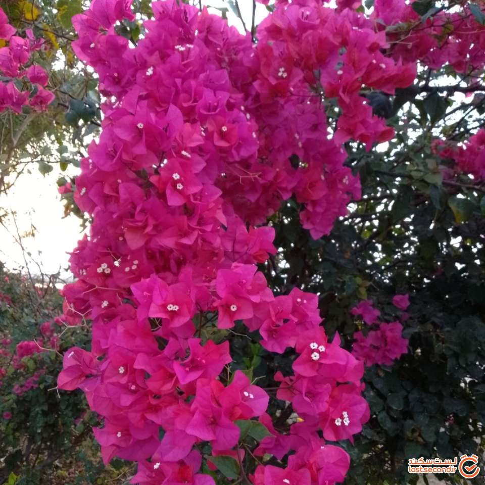 undefined