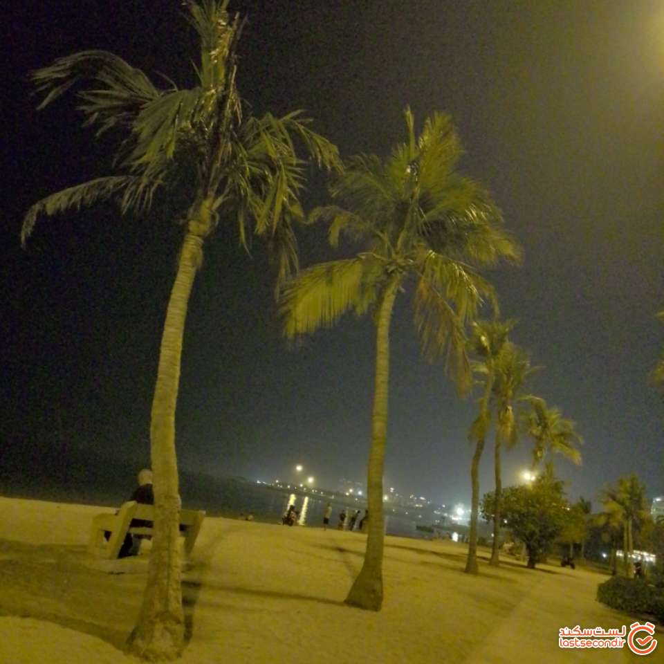 ساحل نارگیل در شب