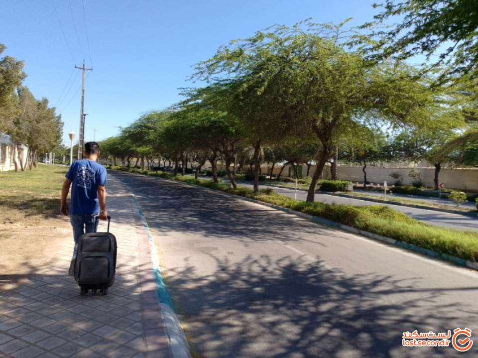 در راه فرودگاه بوشهر