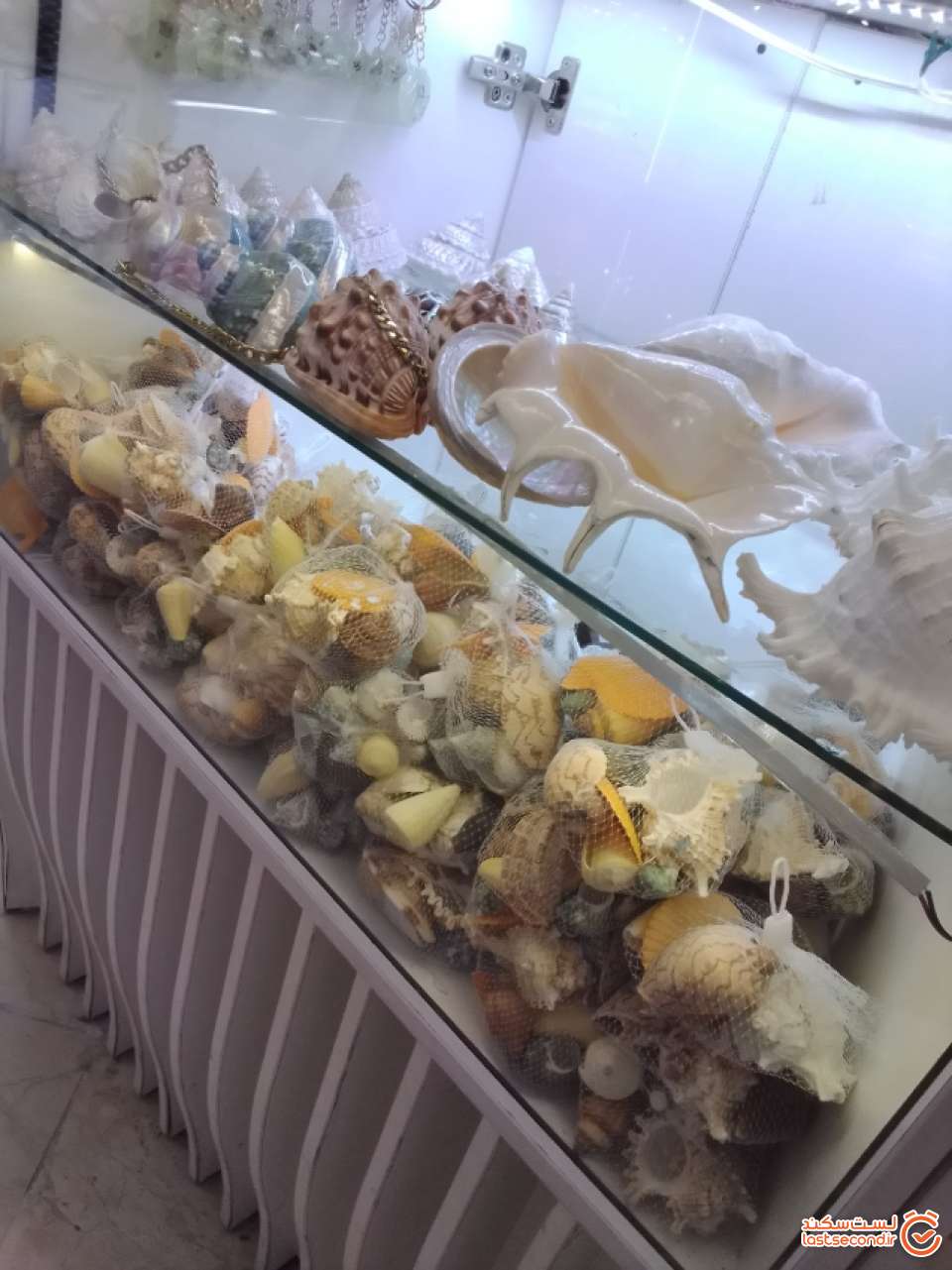 محصولات دریایی