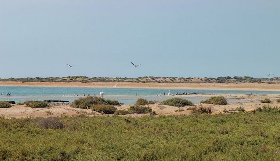 Ommolkorm Island.jpg