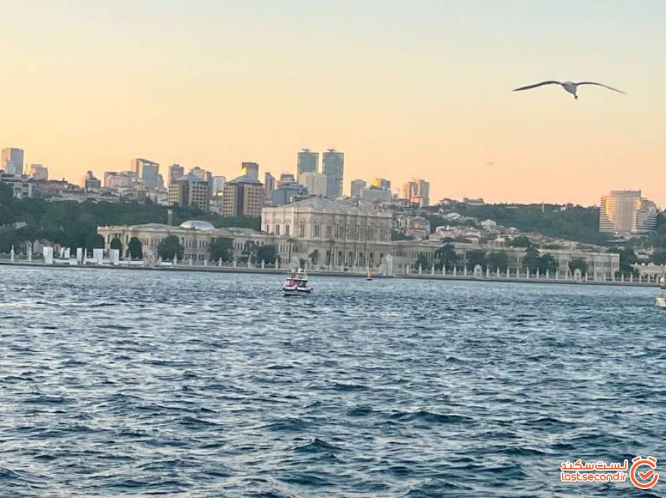 دلما باغچه