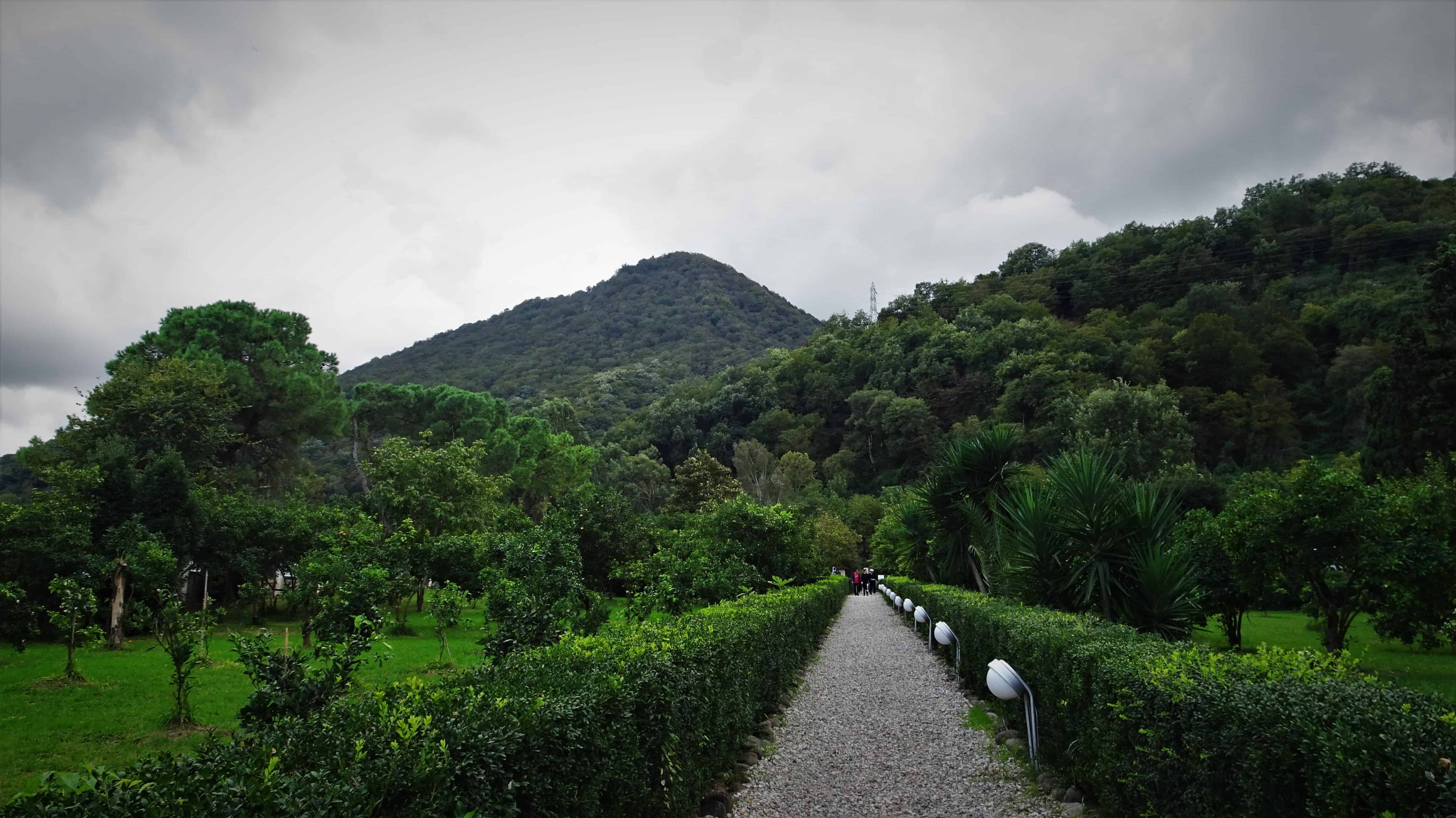 5.-Reasons-to-visit-Ramsar-visit-the-Ramsar-Palace-Museum-3.jpg