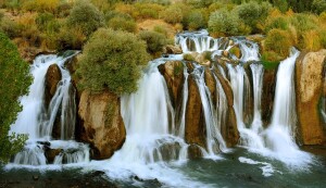 تور وان تیر 1404 (زمینی)