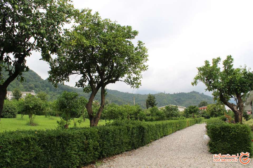 باغ زیبای کاخ