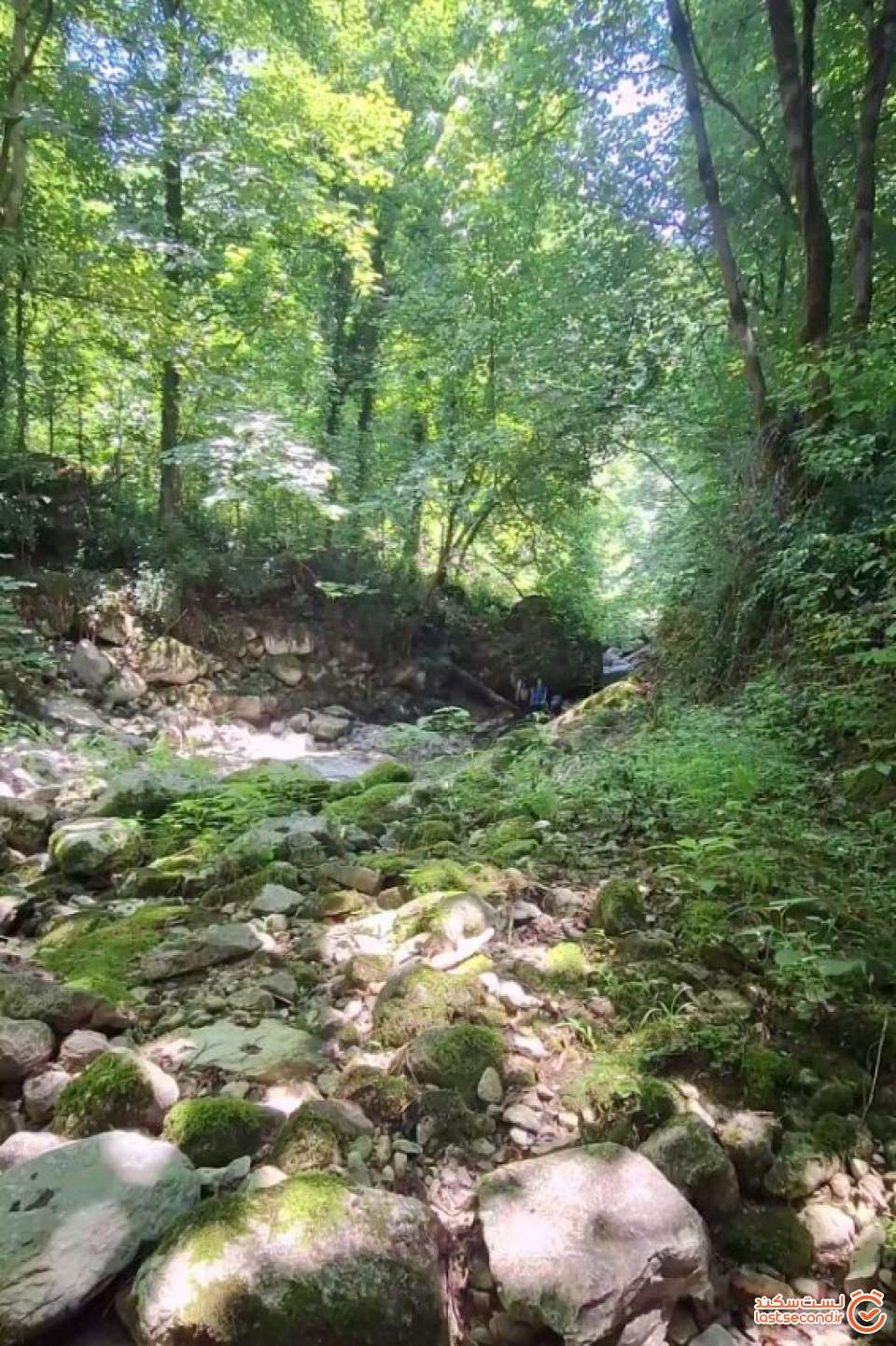 رودخانه خشک شده