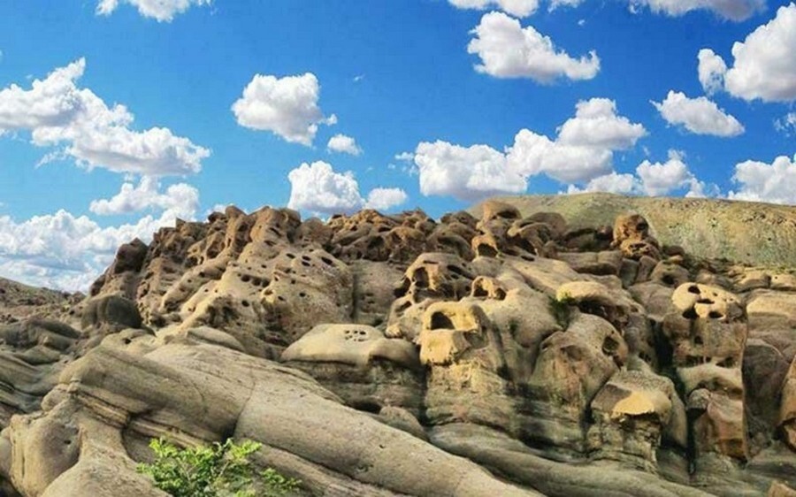 وردیچ2.jpg