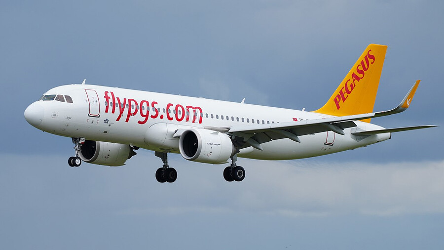 Lastsecond.ir-airline-baggage-fees-allowance-pegasus.jpg