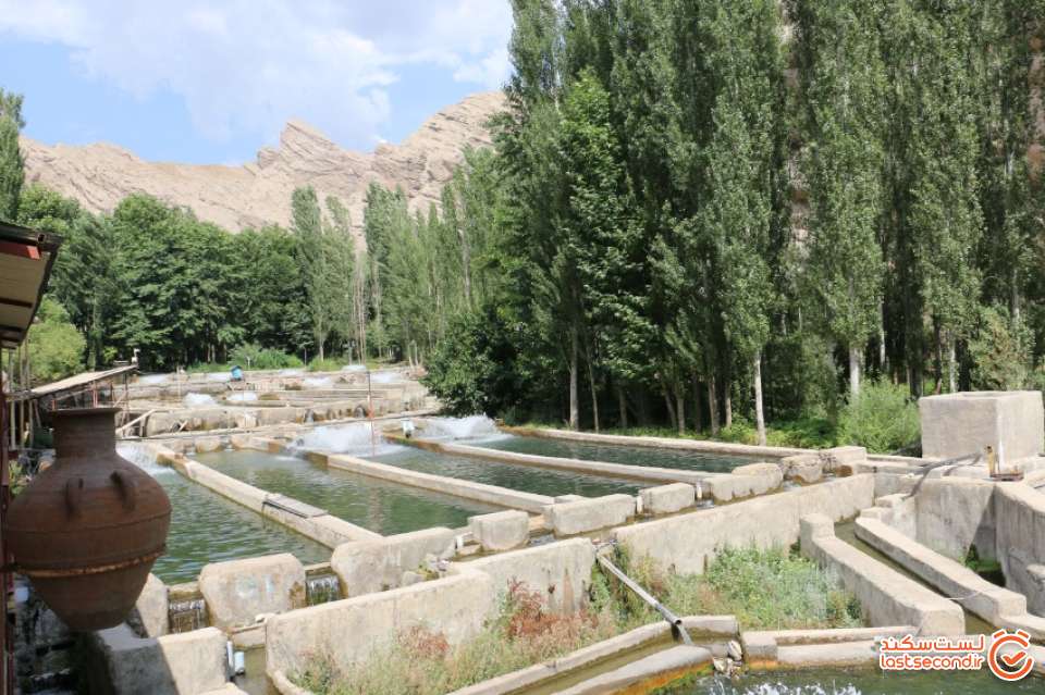 رستوران انادژ