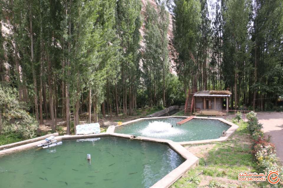 رستوران انادژ