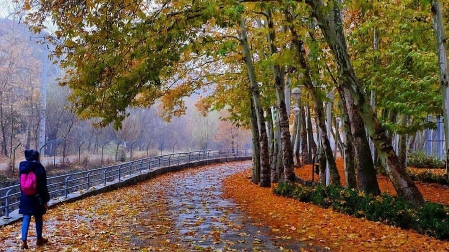 vakil-abad-park-in-mashhad.jpg
