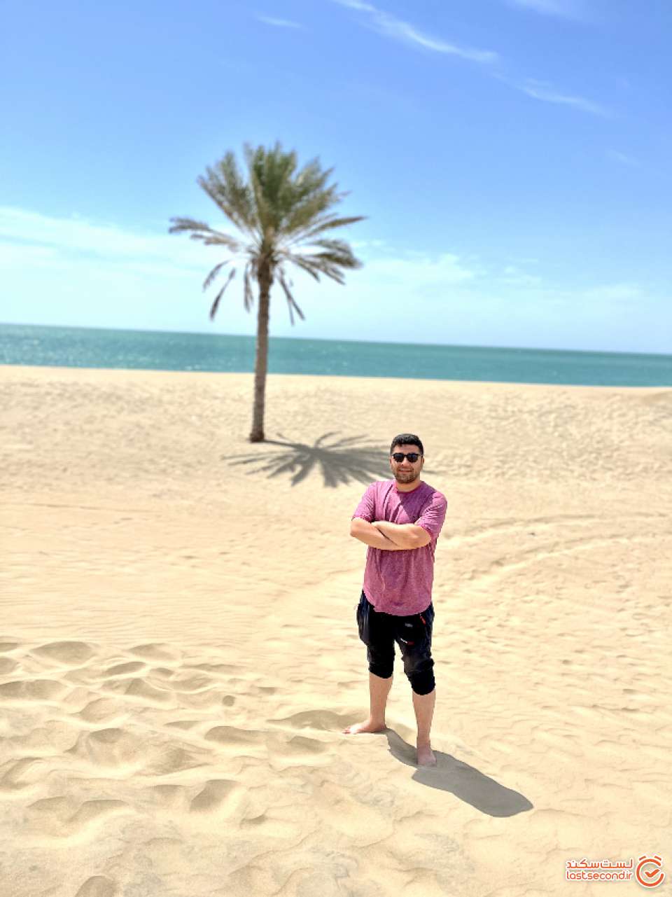 تک درخت درک