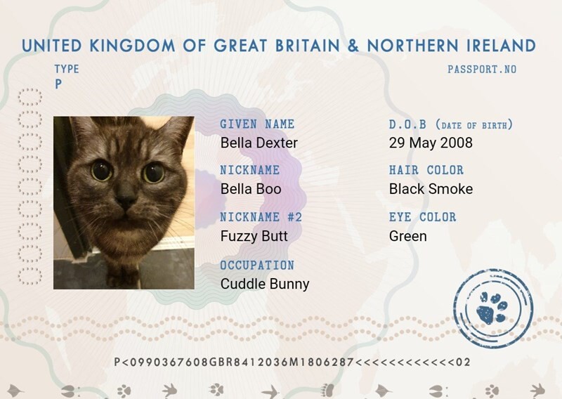 pet-passport.jpg