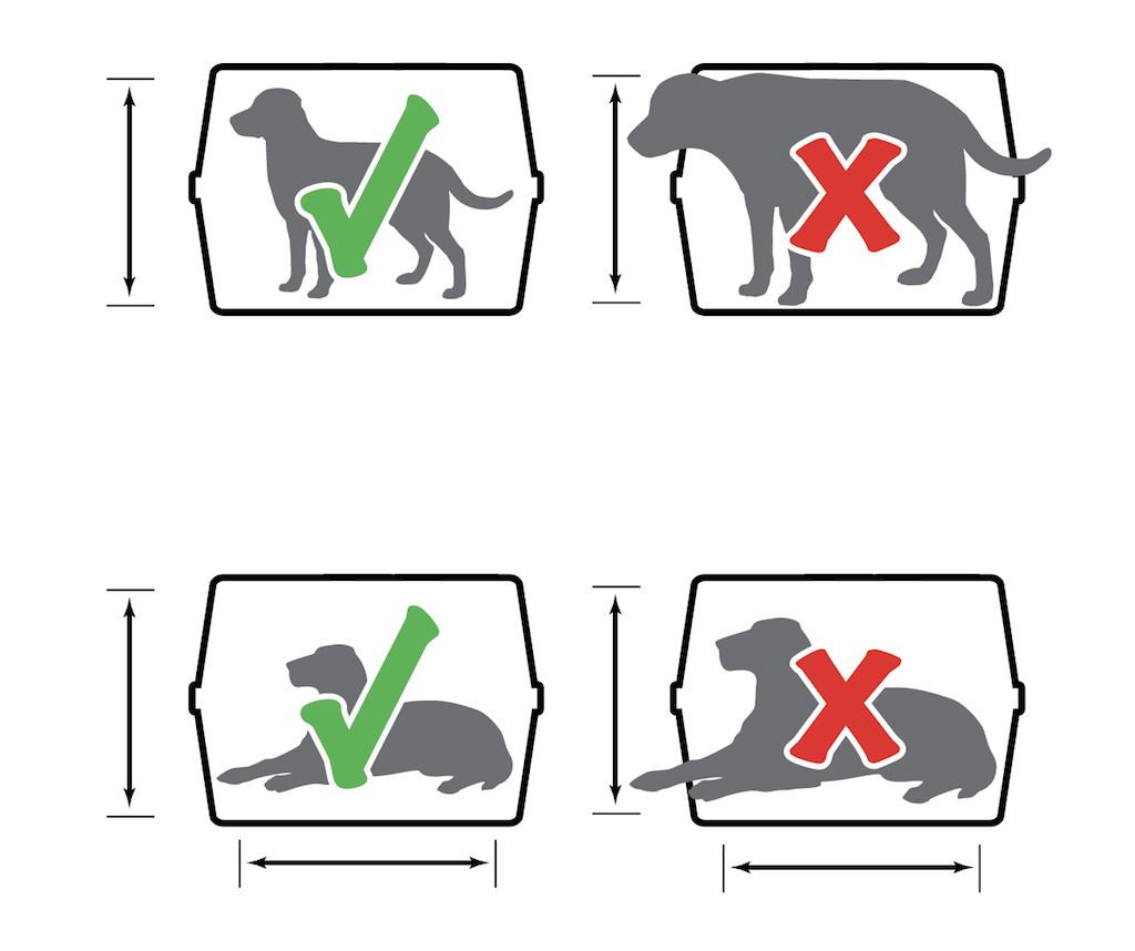 United-Airlines-pet-policy-crates.png