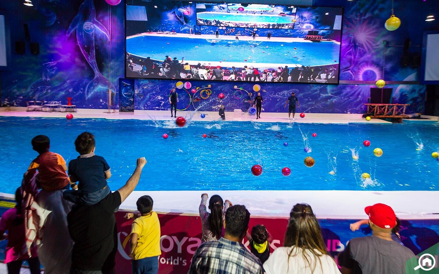 People-at-dolphin-show.jpeg