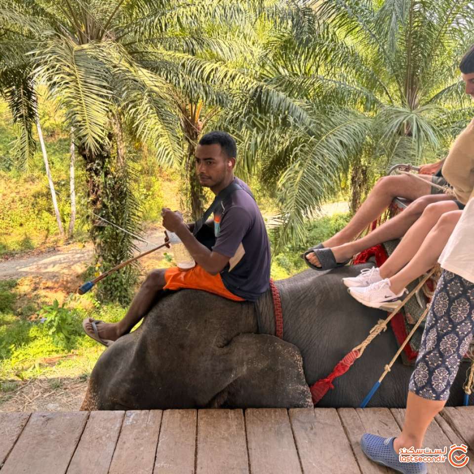 فیل و فیل بان