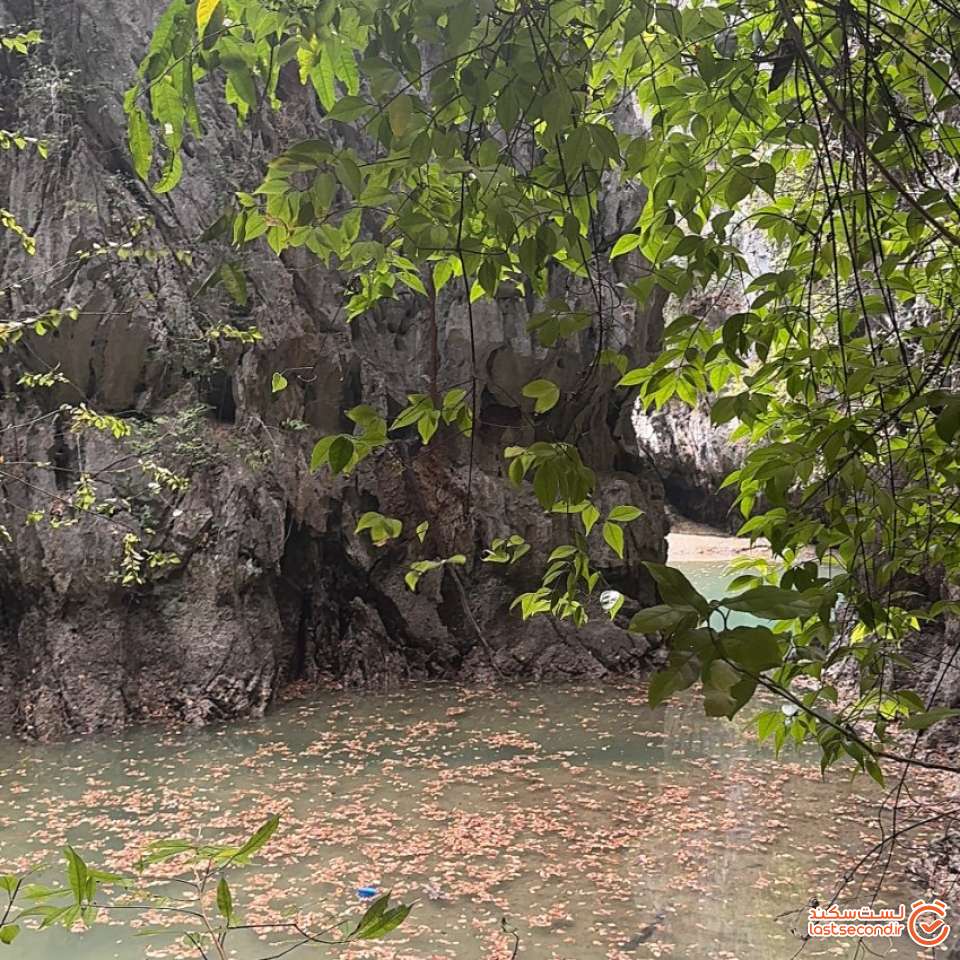 جنگل و برکه ایی که در انتها غار از دریچه غار قابل مشاهده بود