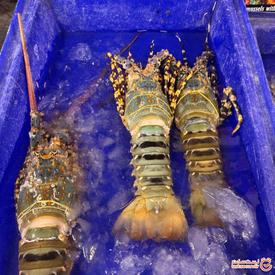 غذاهای عجیب و جالب تایلندی