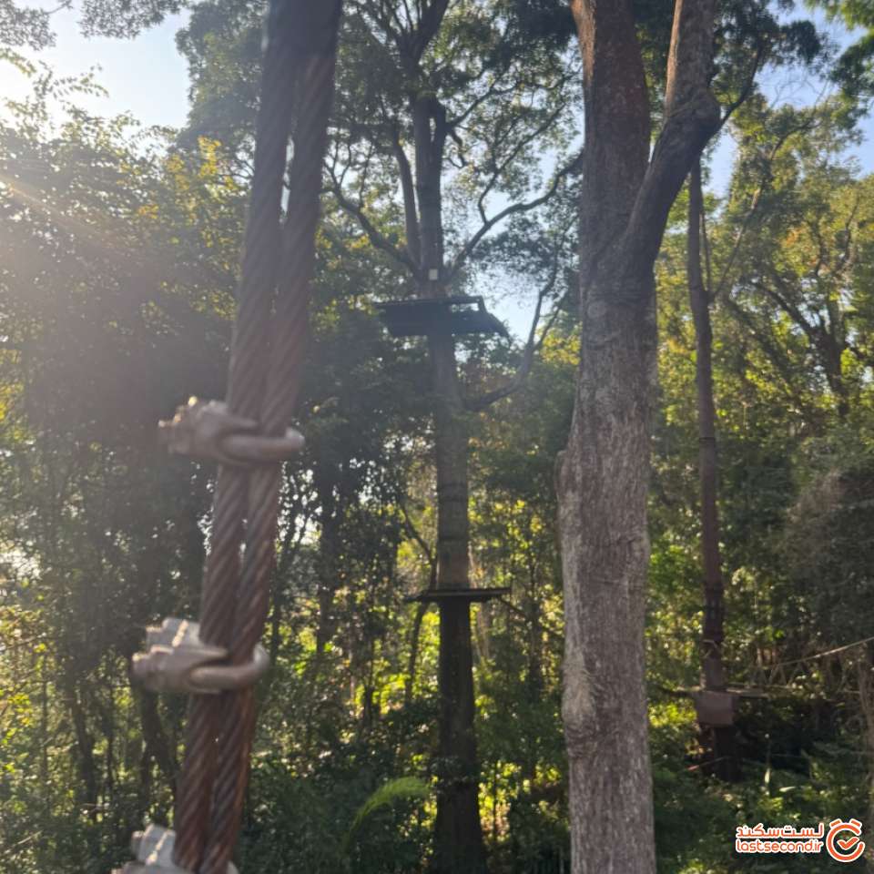 جنگل پارک هانومان