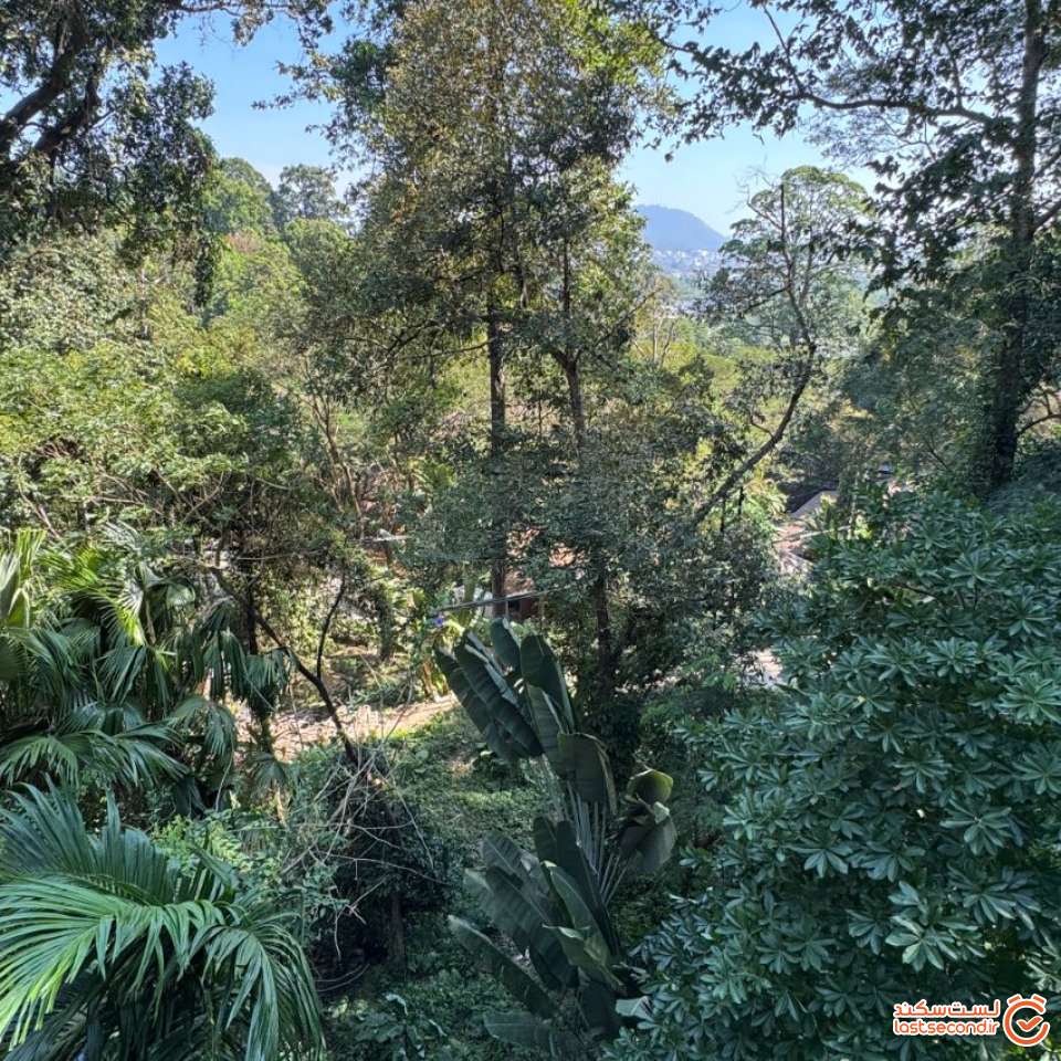 جنگل زیپ لاین هانومان