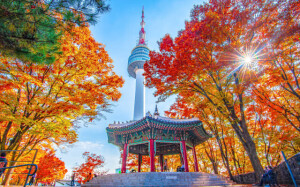 تور دورهمی کره جنوبی (ویژه ایرانیان سراسر دنیا)