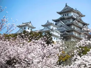 تور دورهمی ژاپن + کره جنوبی (ویژه ایرانیان سراسر دنیا)