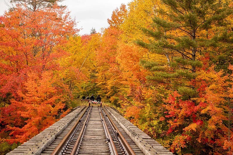 تور عکاسی ریلی جنگل شیرگاه (ویژه رنگهای پاییزی)