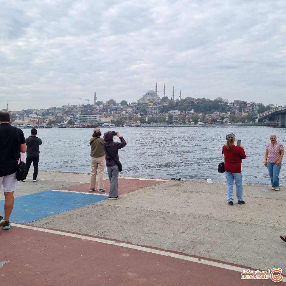 ساحل خلیج شاخ طلایی