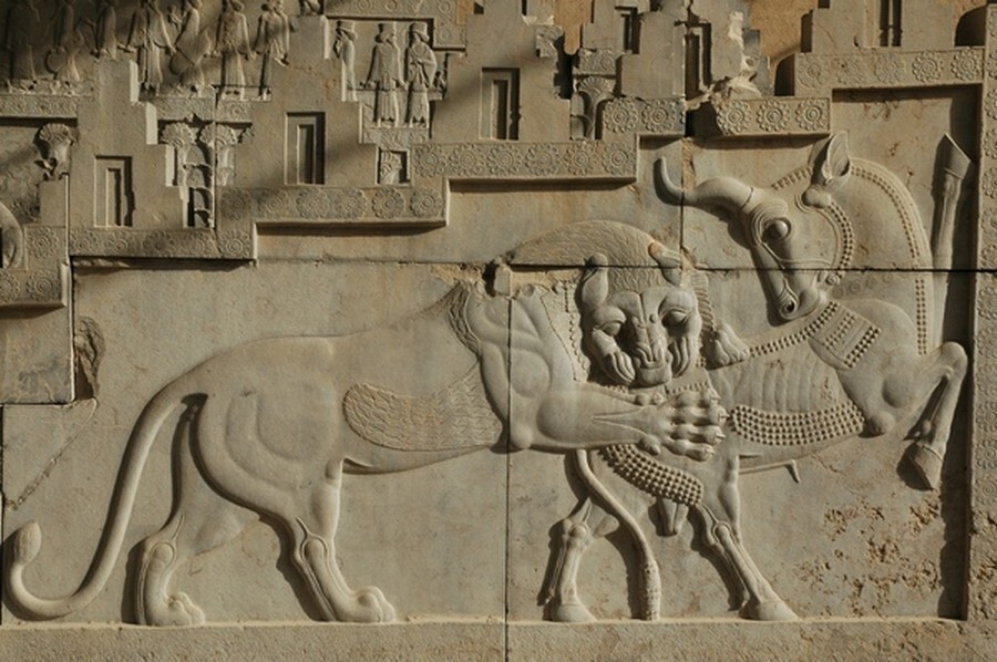 Lion in Persepolis.jpg