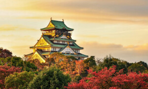 تور دورهمی ژاپن آذر ماه (ویژه ایرانیان سراسر دنیا)