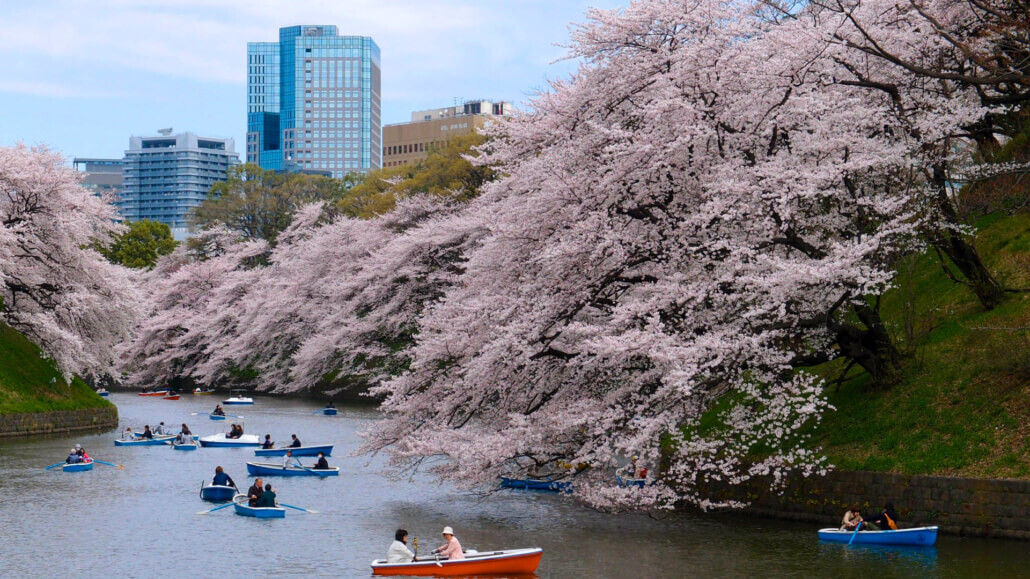 Hanami-at-Chidorigafuchi-1030x579.jpg