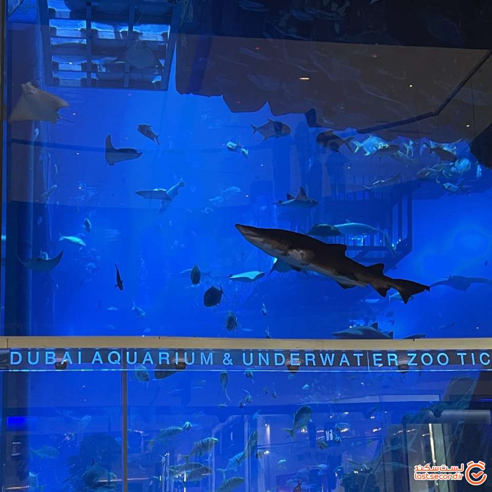 آکواریوم دبی مال
