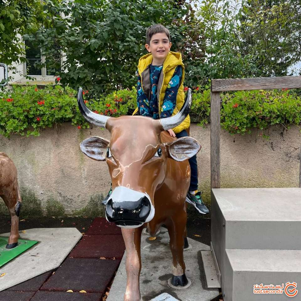 ورودی آبشار راین