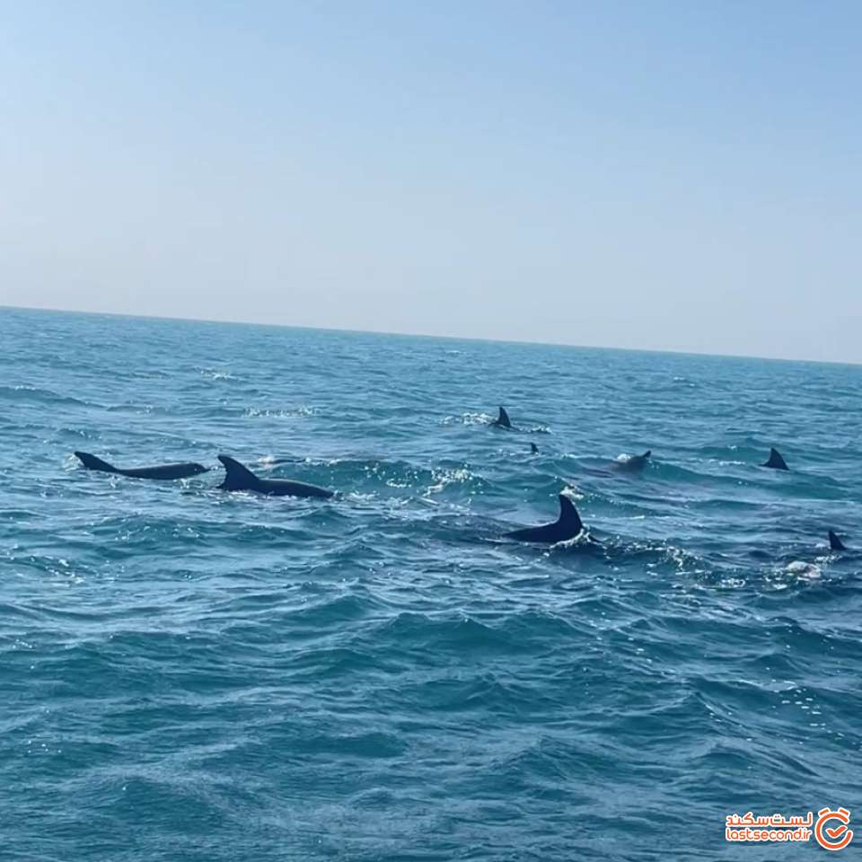 دوستان <span class=