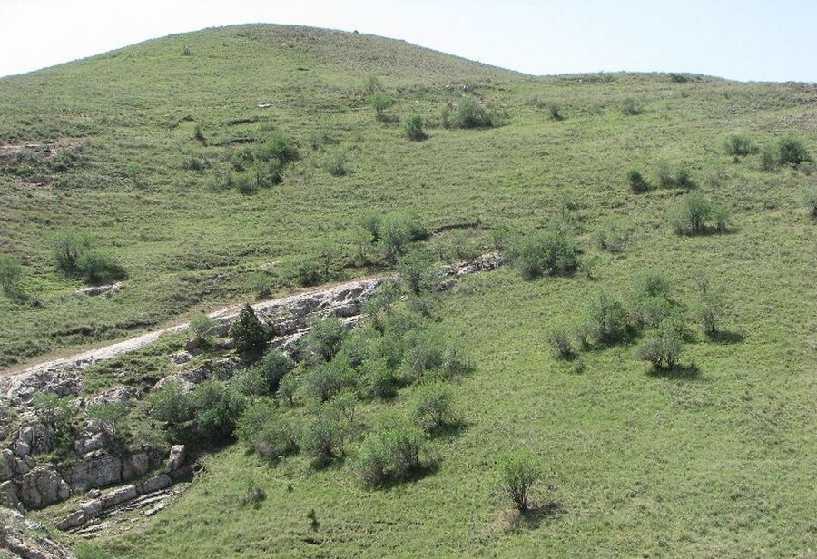 Dorbadam protected area.jpg