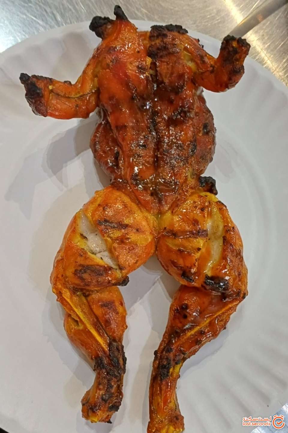 قورباغه کبابی