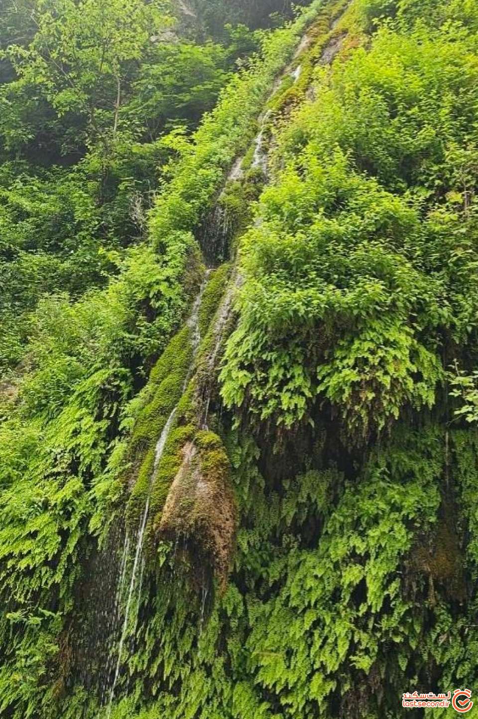 شیوا دره