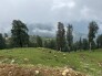 تور ترکینگ روستای تمشه لونه تا آبشار ریوو