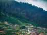 تور ماسال، اولسبلنگاه و ساحل کاسپین جنگل هیرکانی