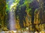 تور تنگه دار (آمازون  ایران)