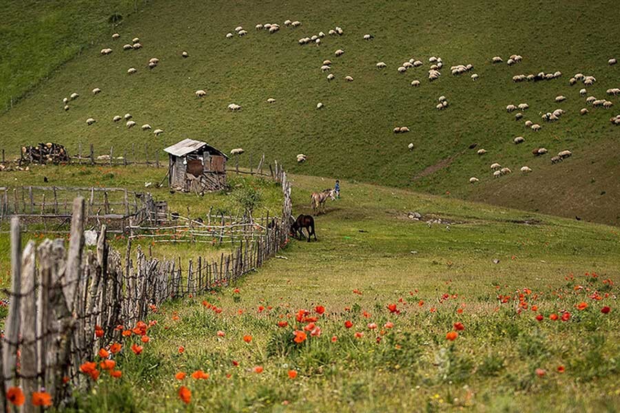 lastsecond.ir-soubatan-north-of-iran-shekardasht.jpg