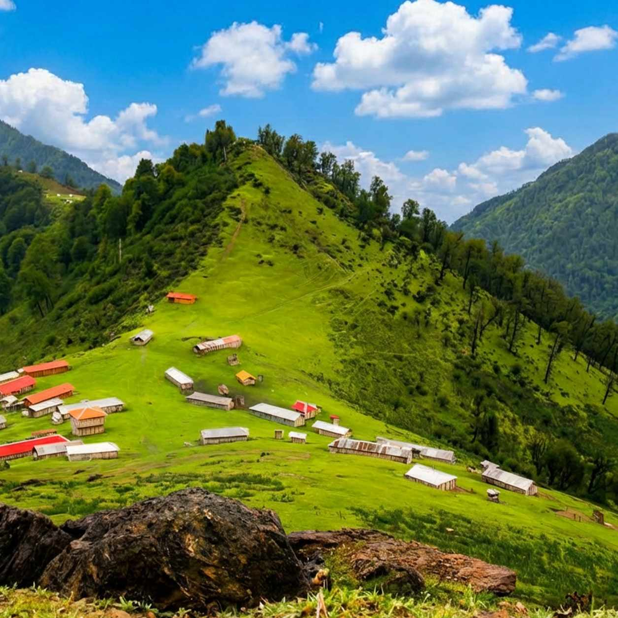 تور‌های ماسال