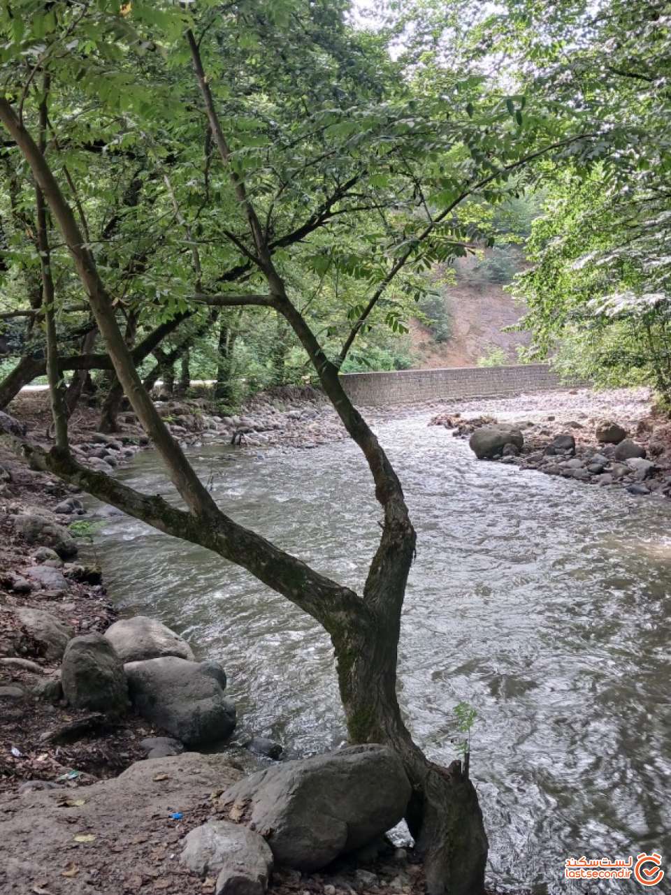 محل خوردن صبحانه کنار جاده