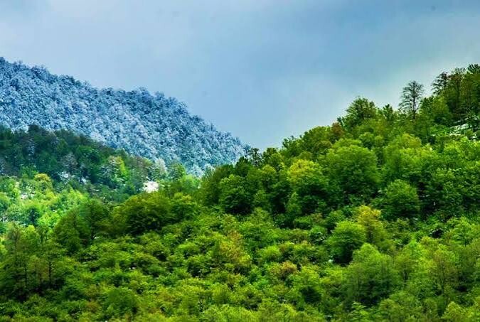 تور جنگلهای هیرکانی مازندران  کمپینگ (فولبرد)