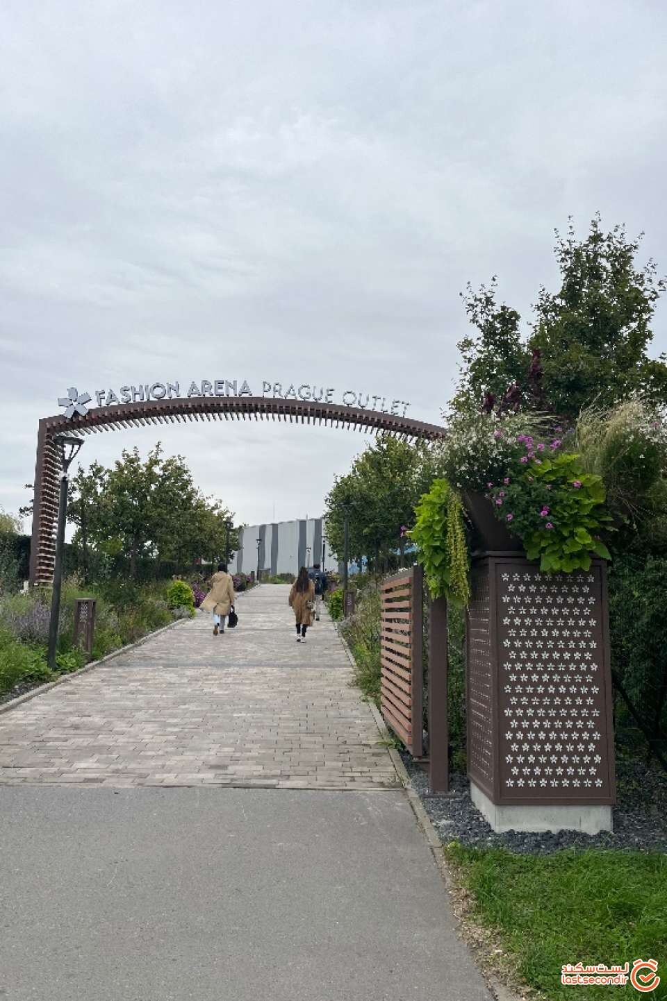 141.jpg