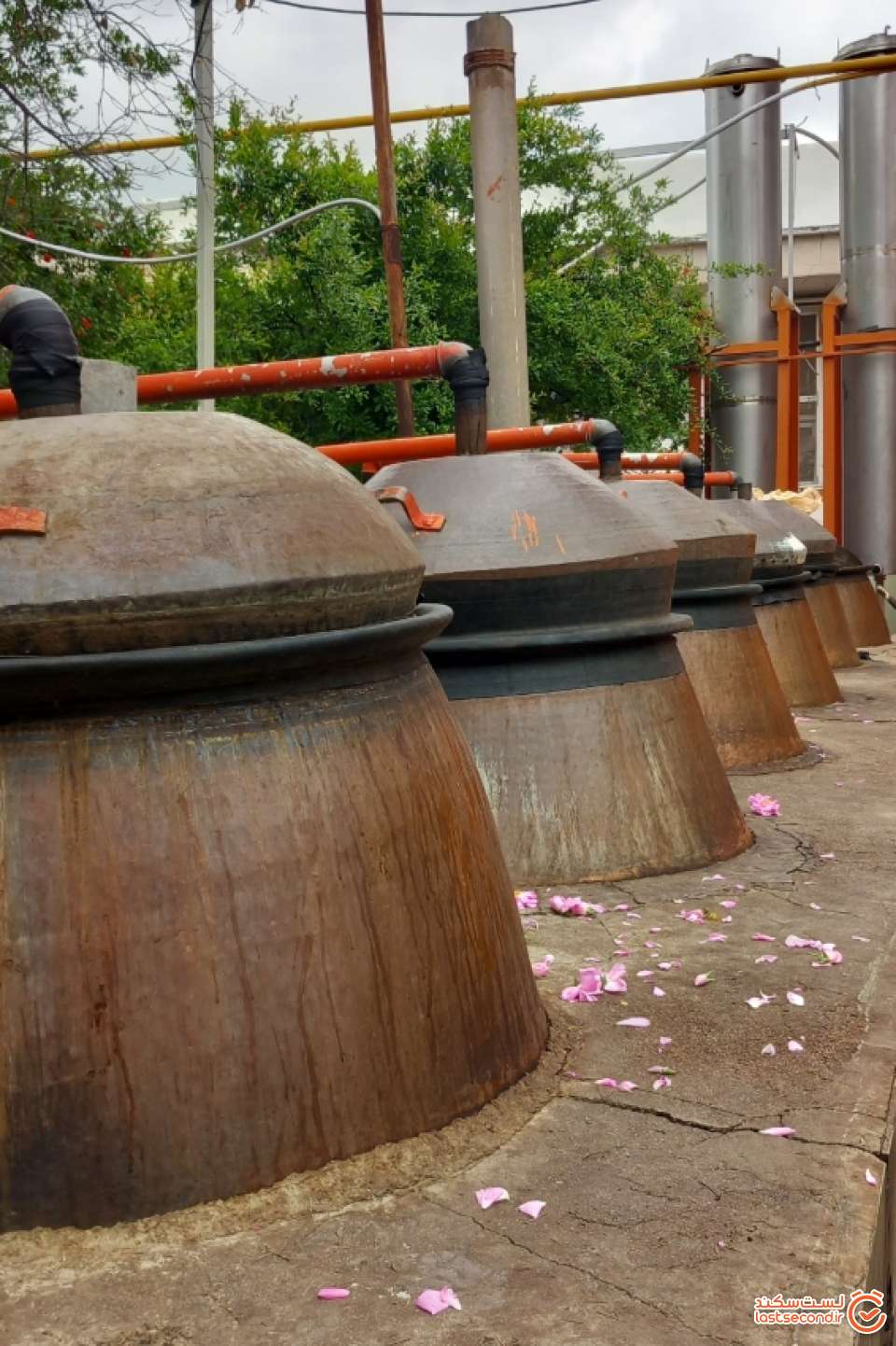 کارگاه گلابگیری