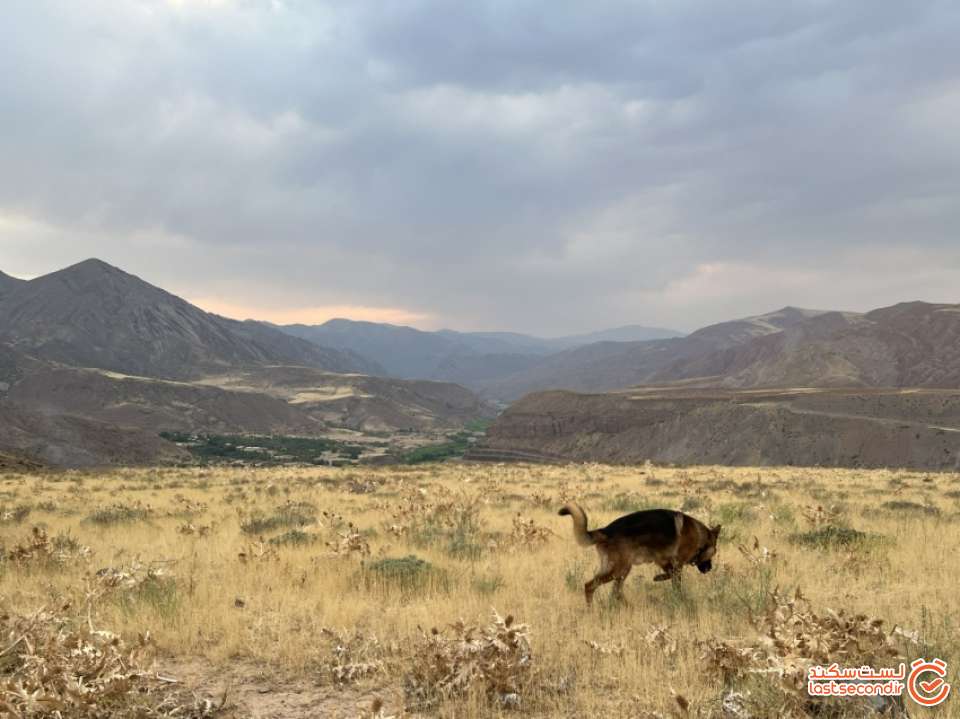 گاهی الکس جلو و گاهی ما